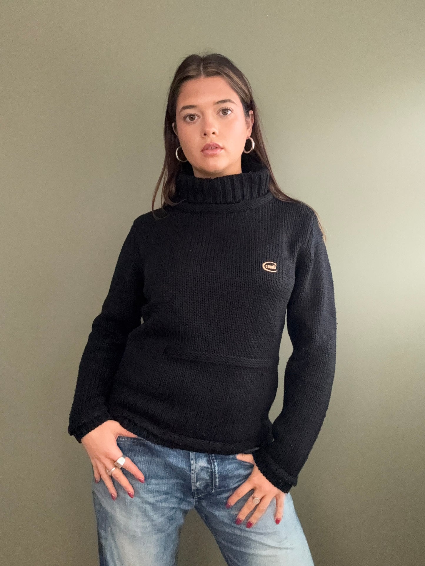 Cavalli Knit Jumper (L)