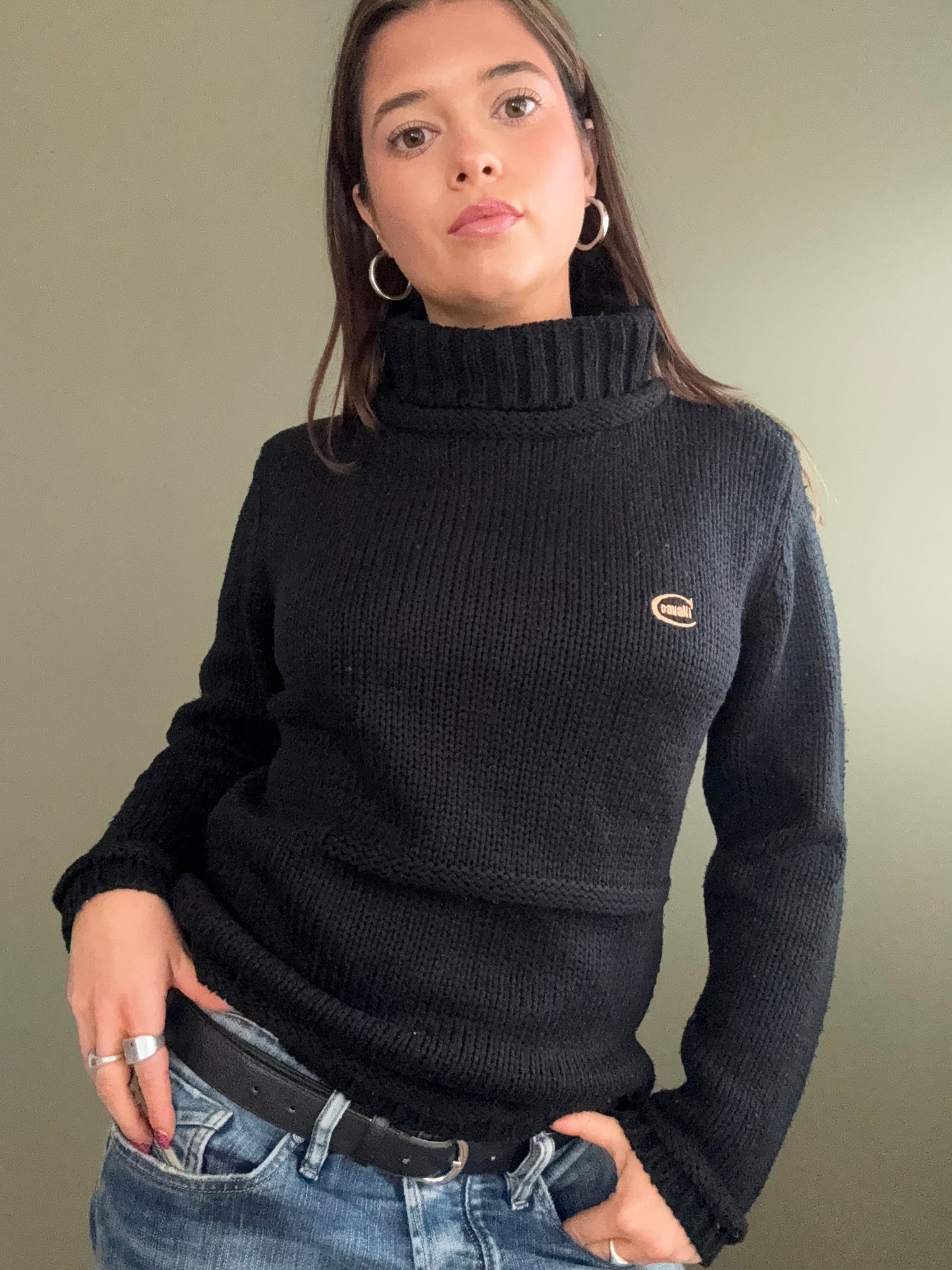 Cavalli Knit Jumper (L)