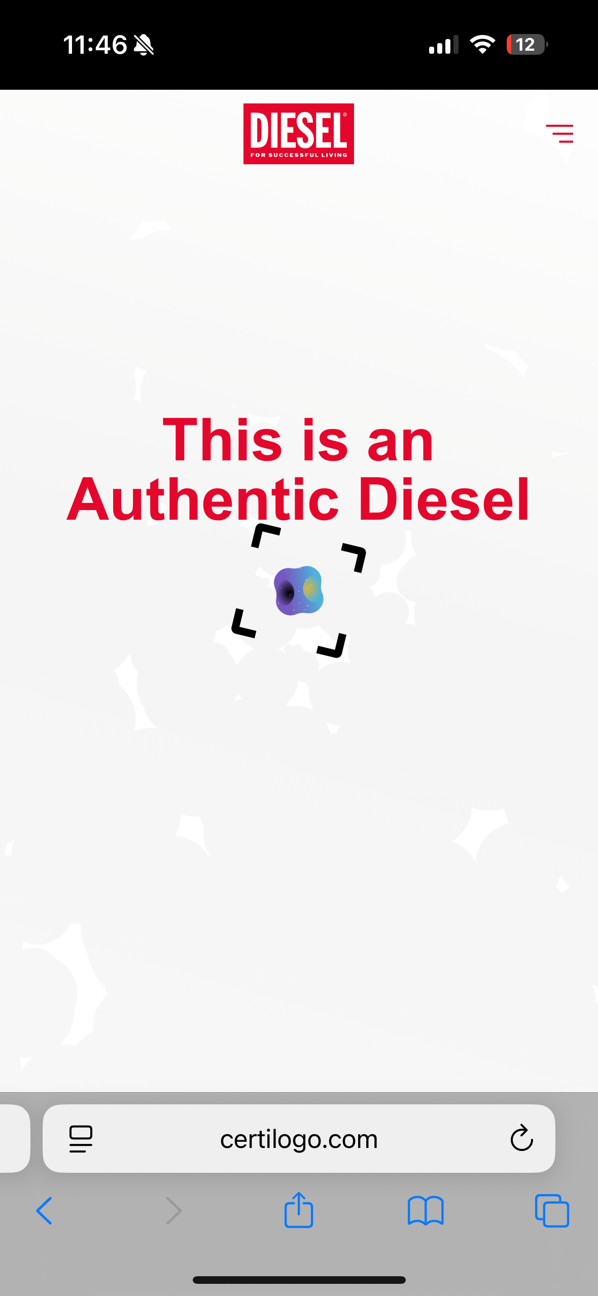 Diesel Bomber Jacket (S)