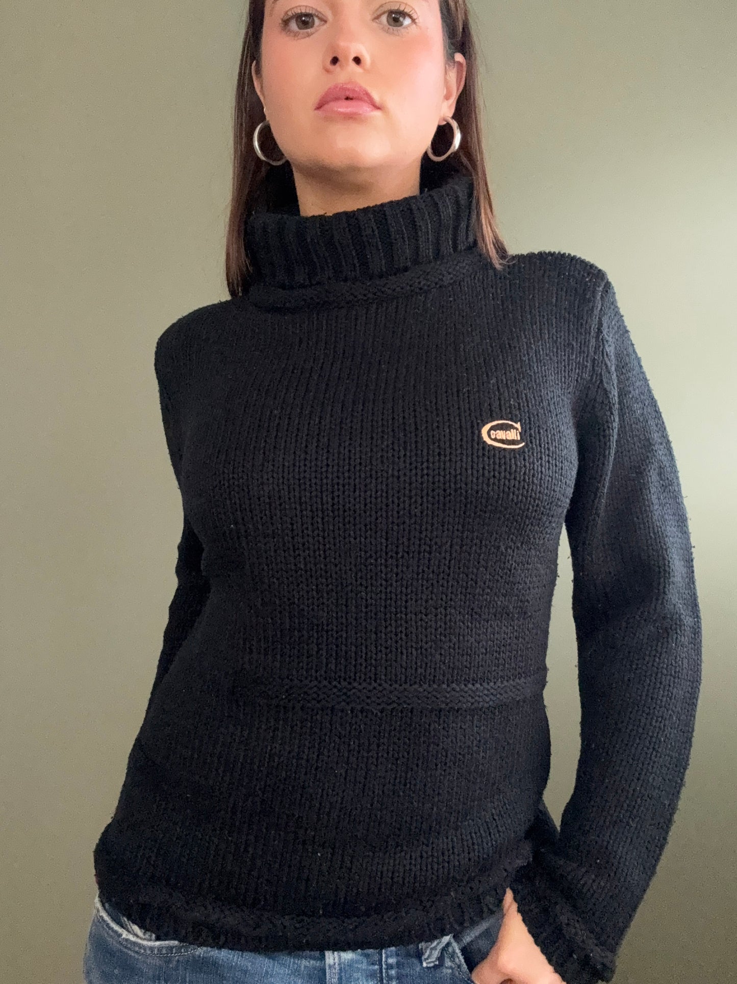 Cavalli Knit Jumper (L)