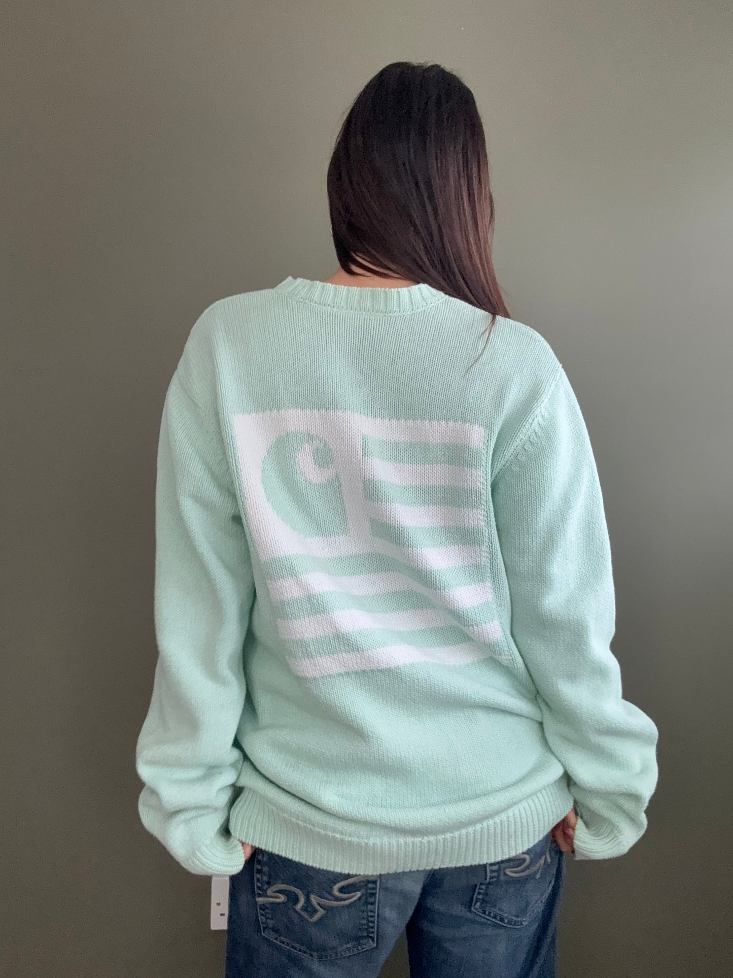 Carhartt Knit Jumper (M)