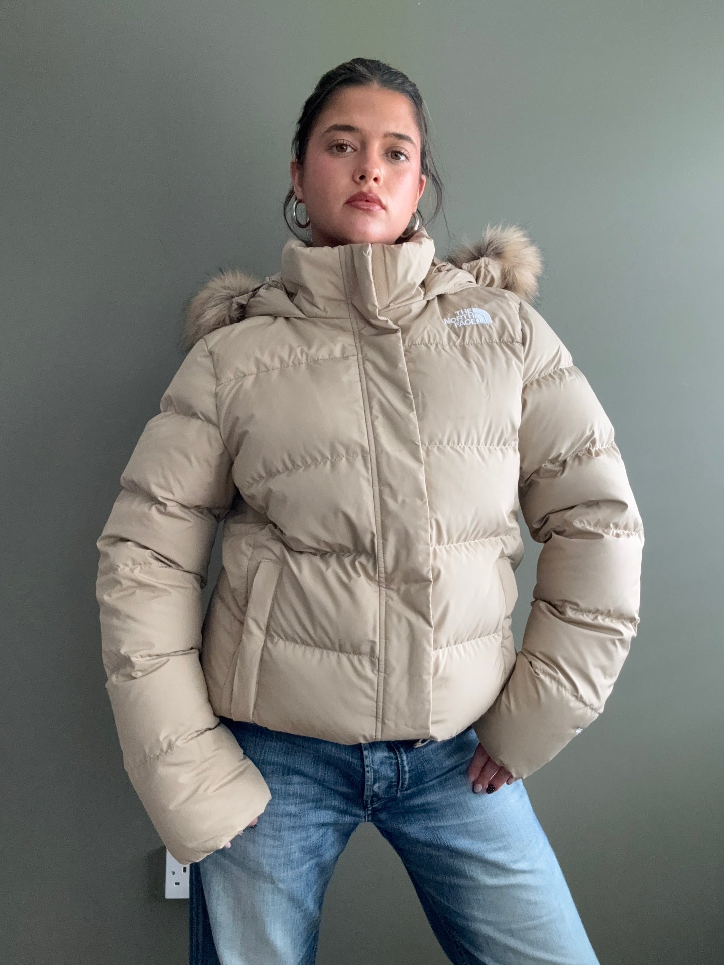 The North Face Puffer Jacket (XL)