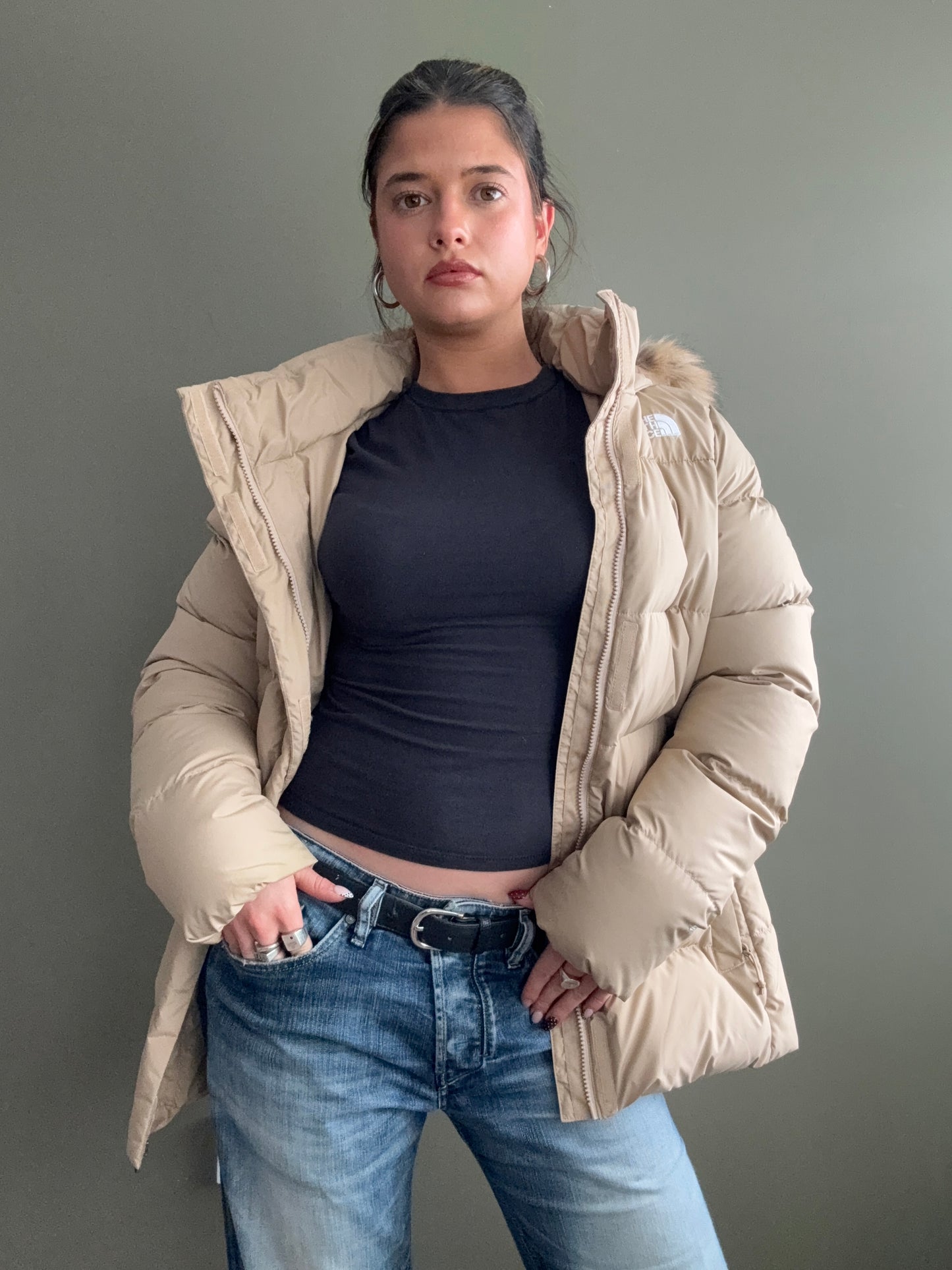 The North Face Puffer Jacket (XL)