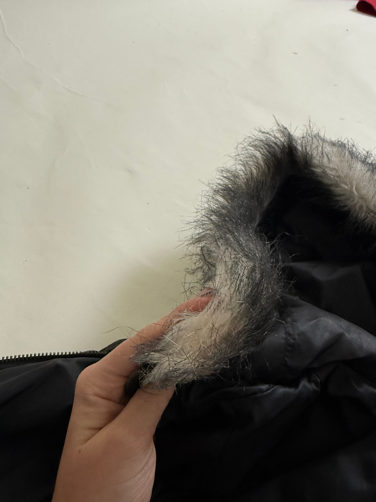 Guess Fitted Coat (M)