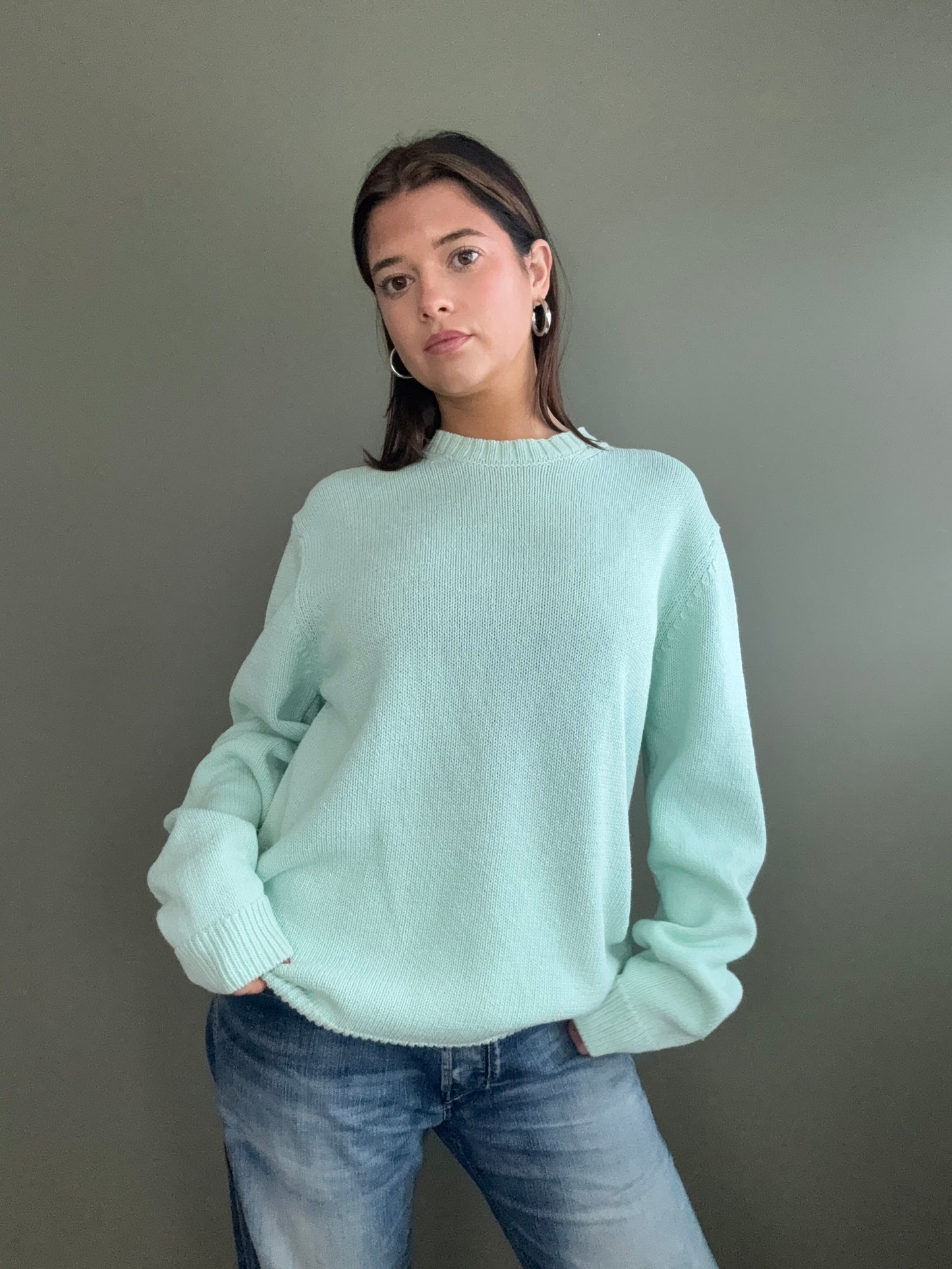 Carhartt Knit Jumper (M)