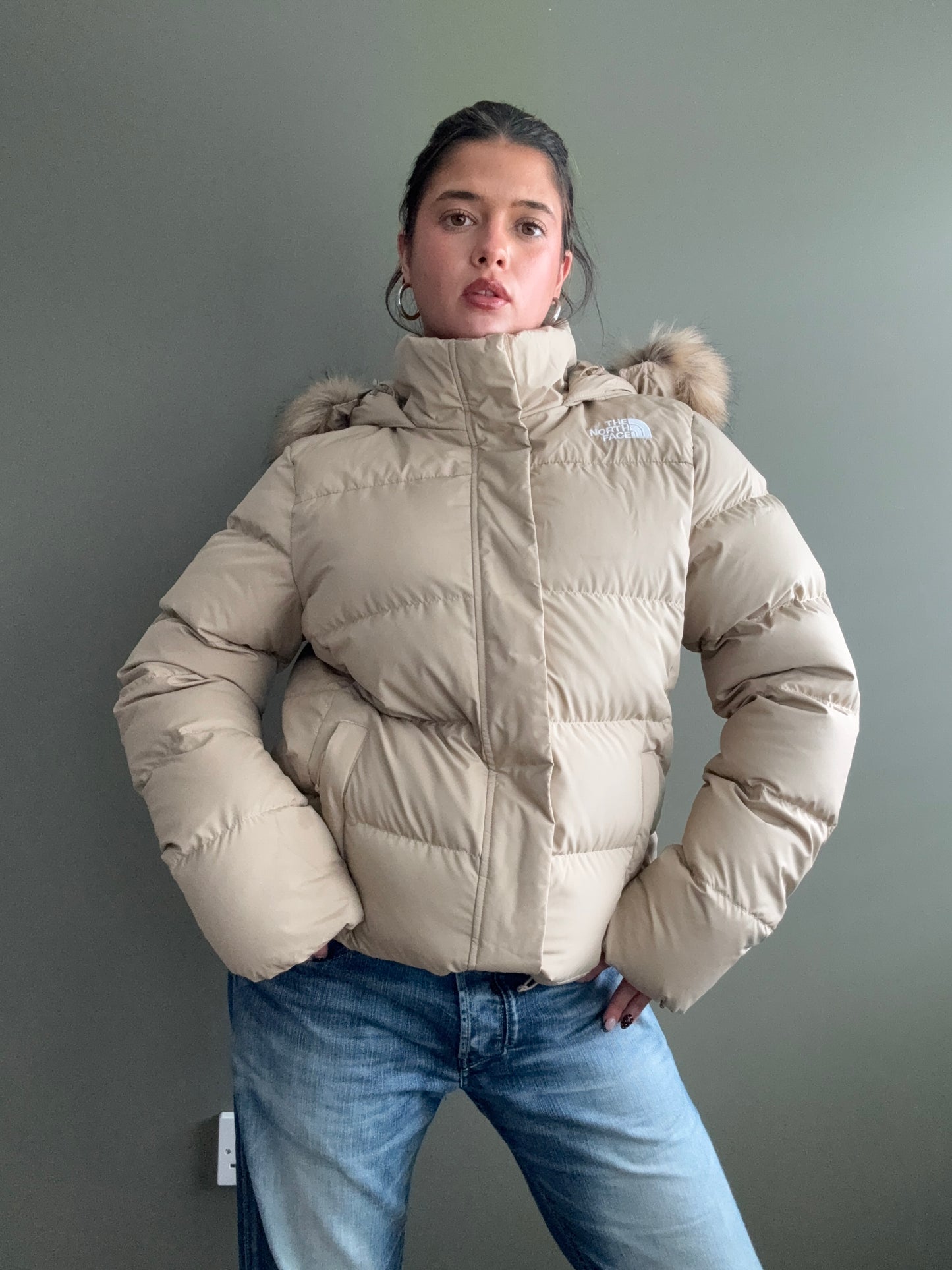 The North Face Puffer Jacket (XL)