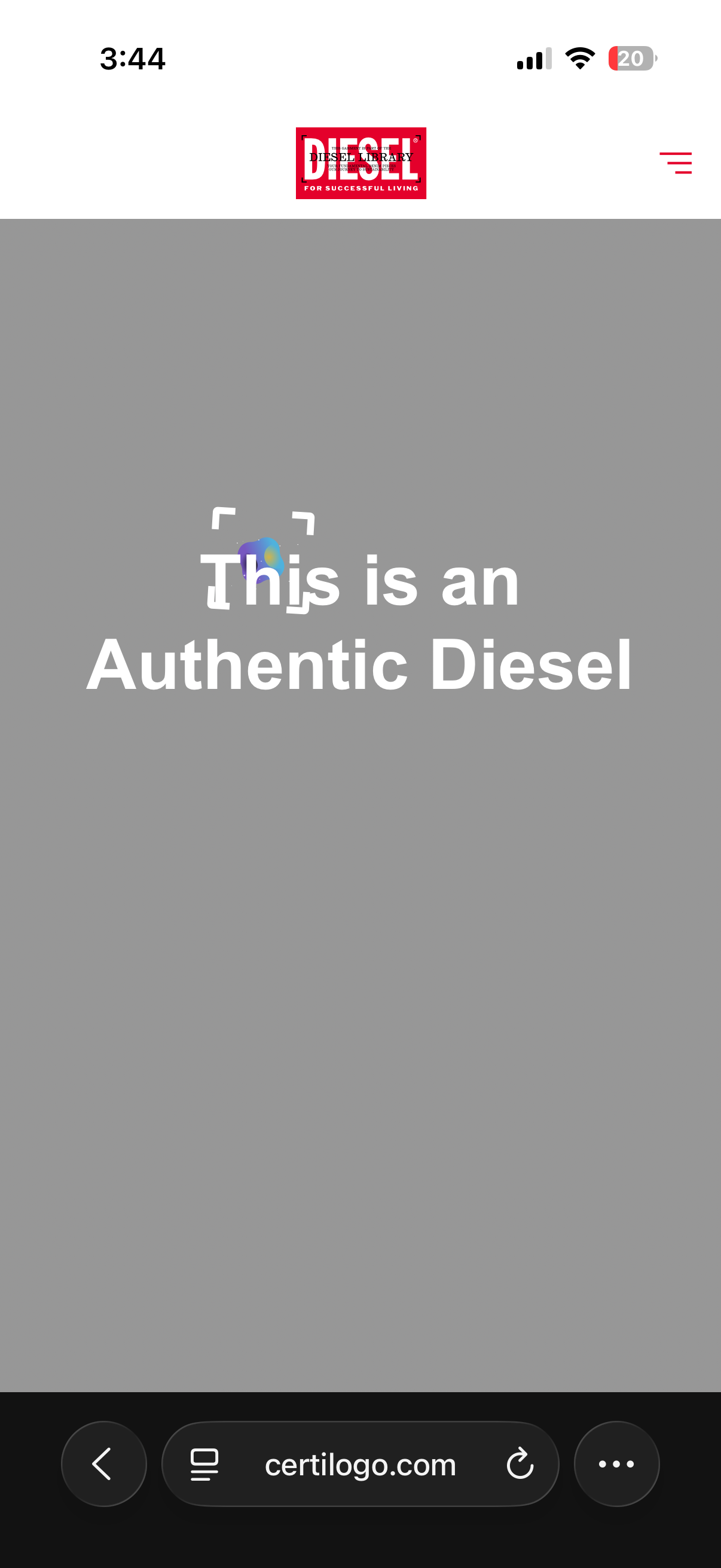 Diesel Dress (S)