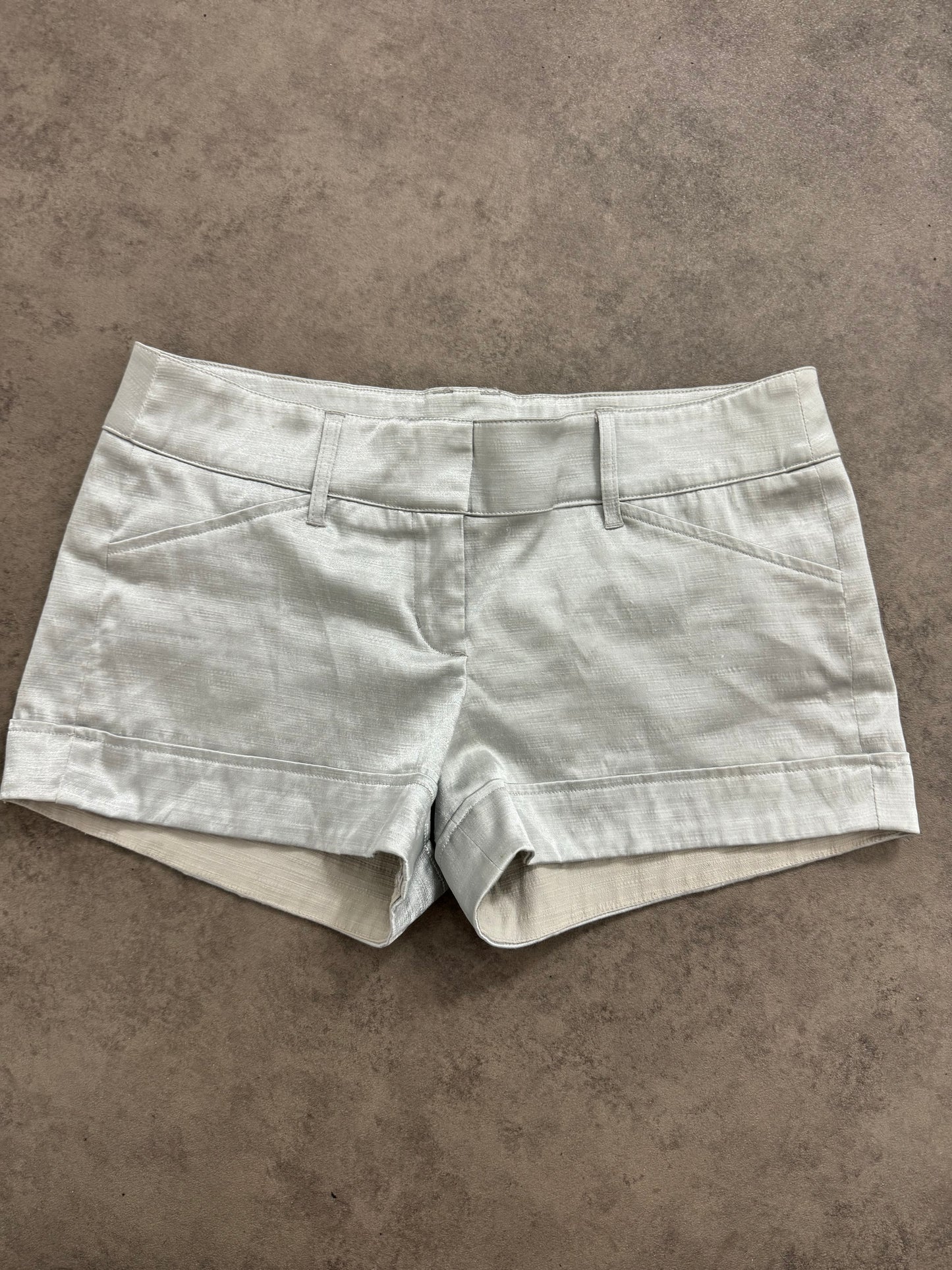 Jane Norman Silver Shorts