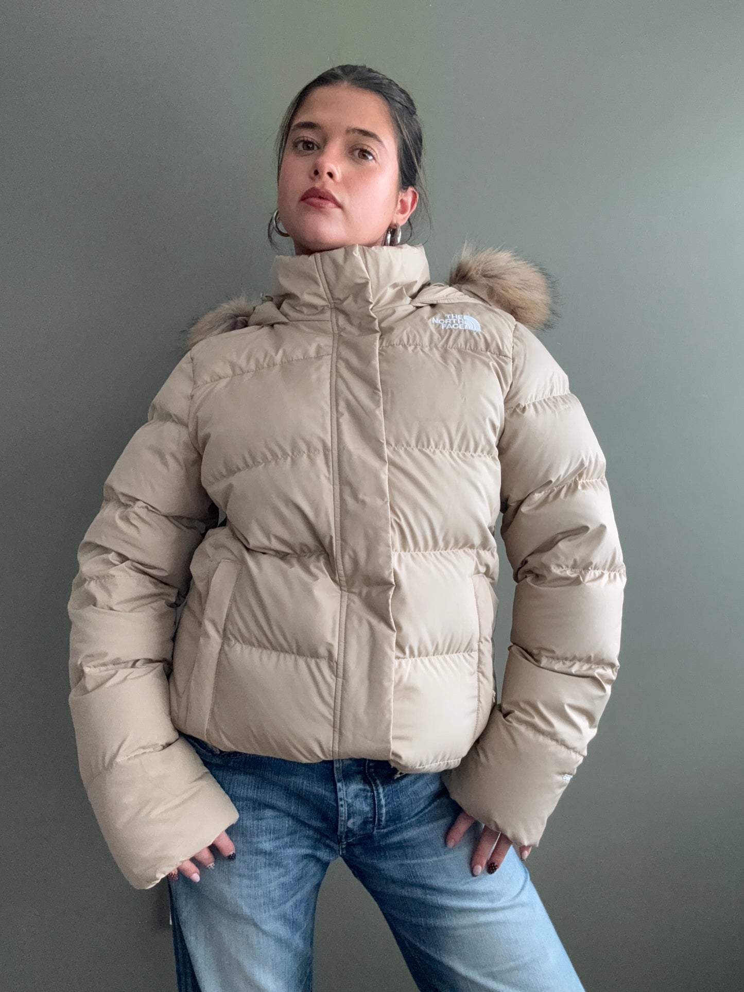 The North Face Puffer Jacket (XL)