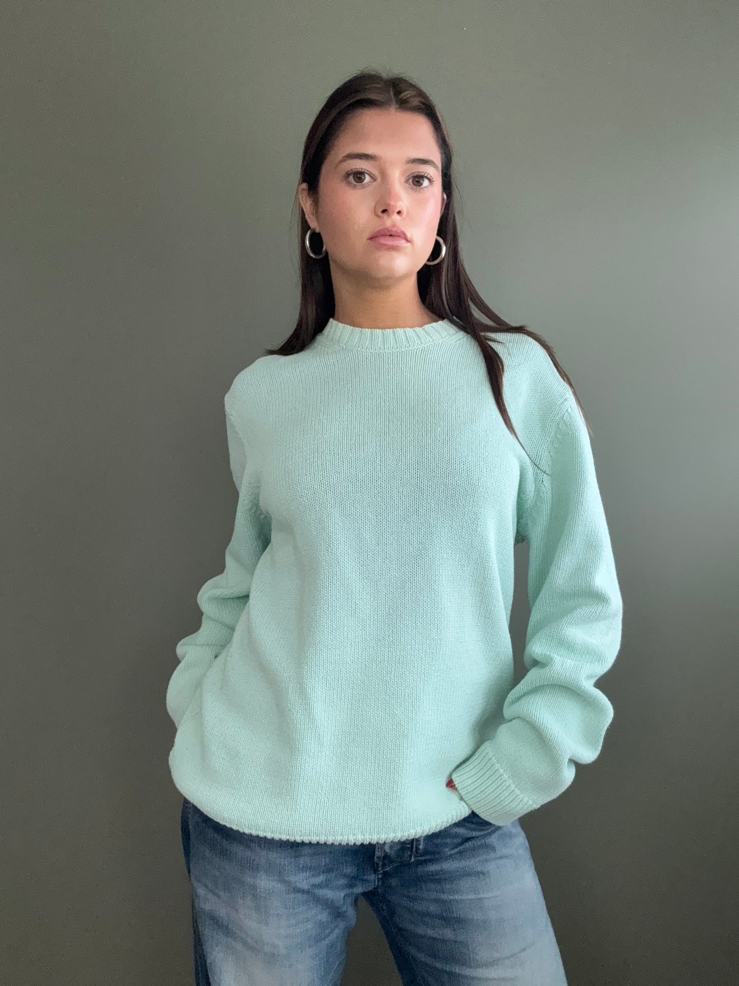 Carhartt Knit Jumper (M)