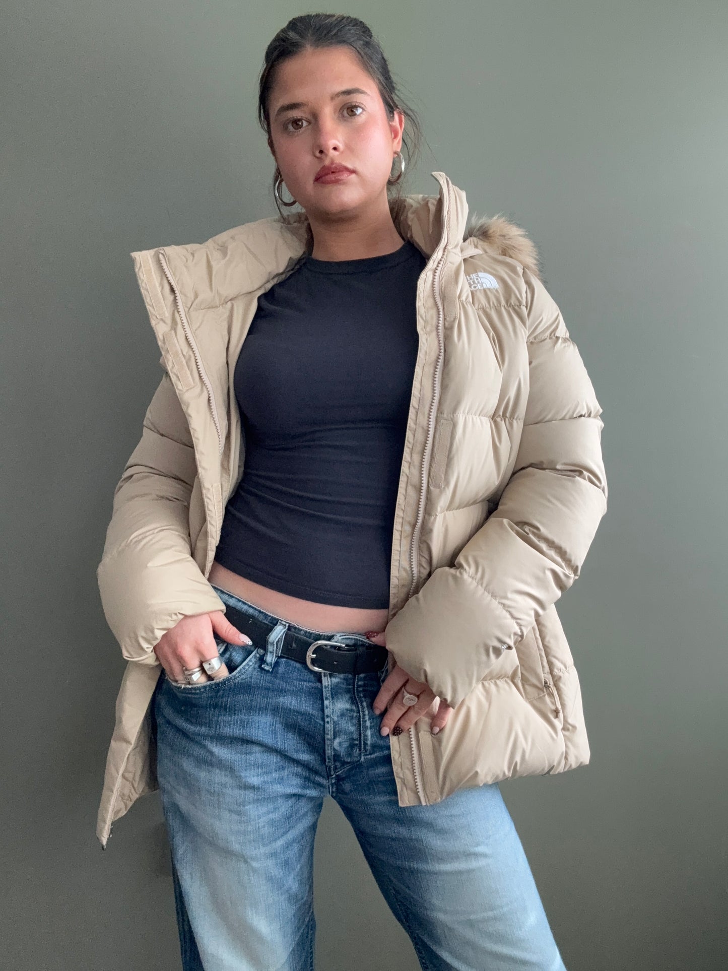 The North Face Puffer Jacket (XL)