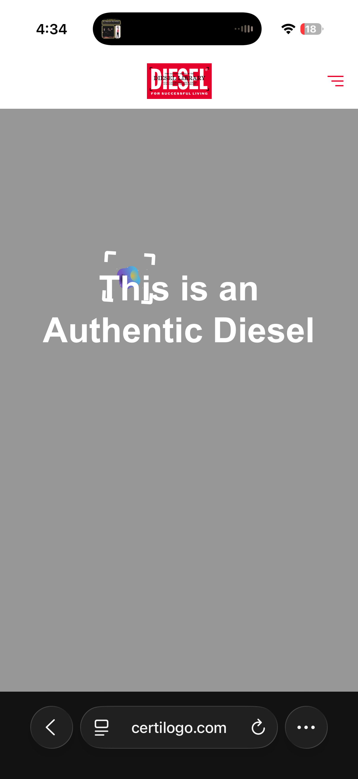 Diesel Cut Out Baby Tee (M)
