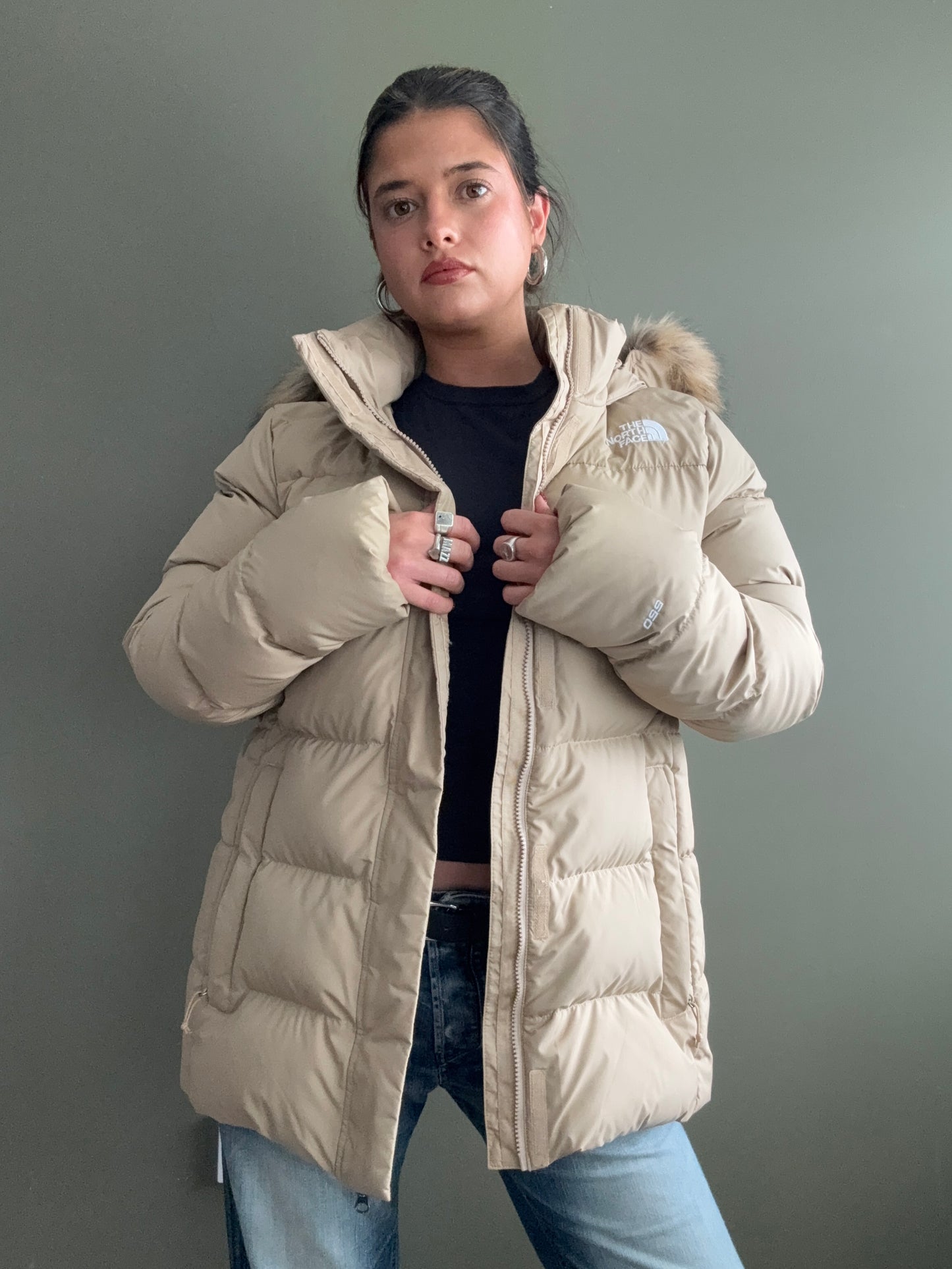 The North Face Puffer Jacket (XL)