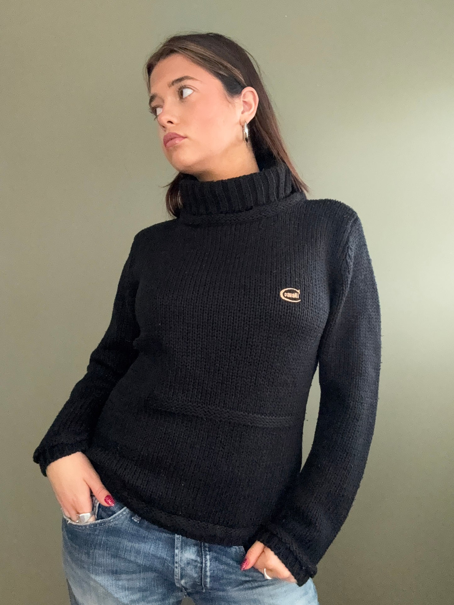 Cavalli Knit Jumper (L)