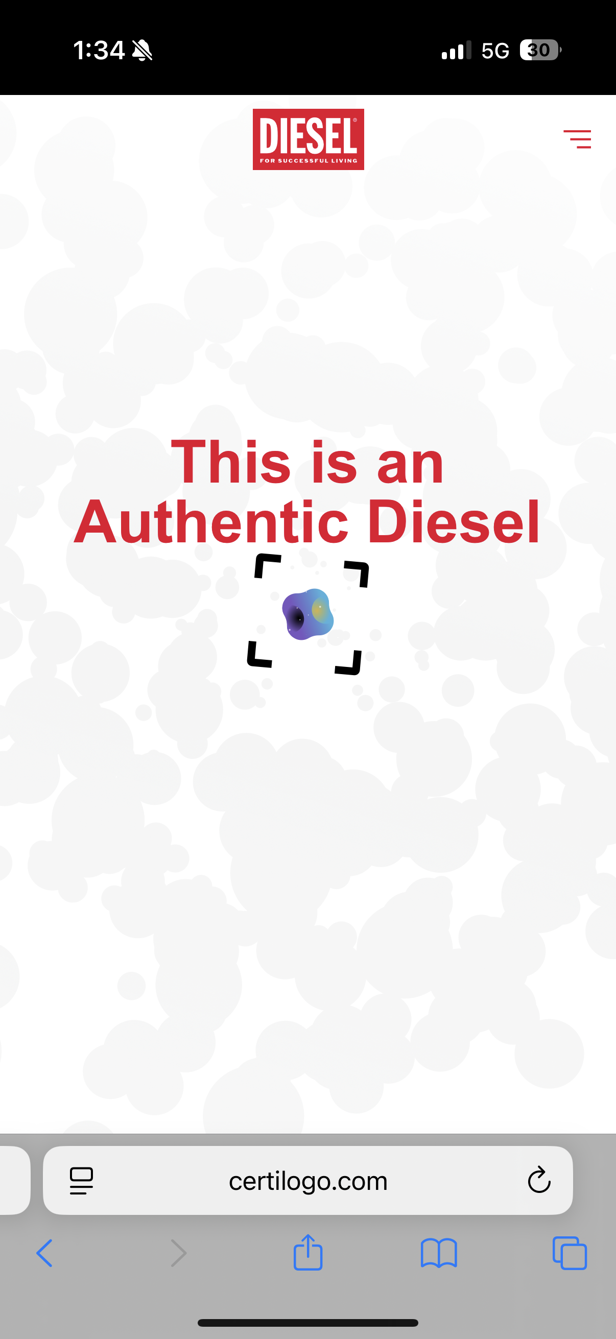 Diesel W-Ralle Puffer Jacket (S)